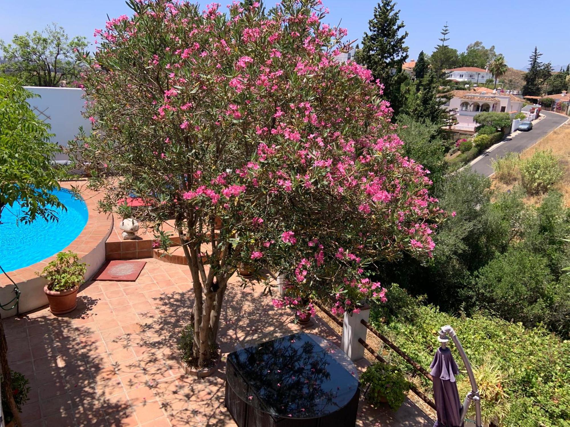 Casa Casandra , Urbanisation Dona Pilar - Beautiful, Peaceful & Tranquil